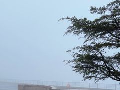 -江南天池