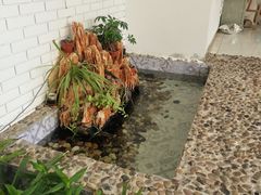 -开间茶馆·围炉煮茶