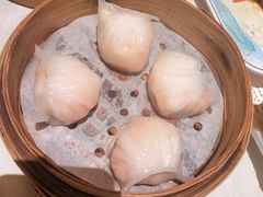 -相思林金岛饭店(青山湖店)