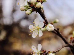 -维乐口腔医院(星海湾分院)