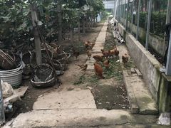 -美家乐农庄·露营·团建(大治路店)