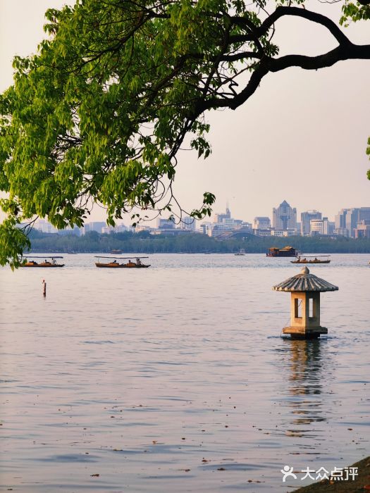 柳浪闻莺公园图片