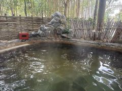 -深业半汤御泉庄温泉