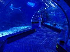 -江和美海洋公园