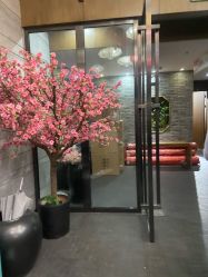 -盘子女人坊生日照·摄影馆(华强店)