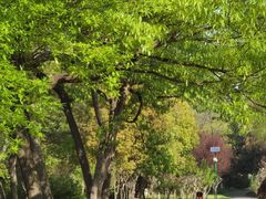 -蜀冈西峰生态公园