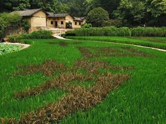 -韶山毛泽东同志故居