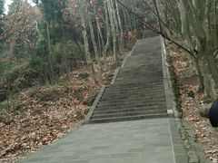 android_upload_pic-窦圌山风景区
