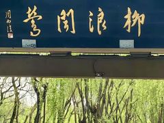 -柳浪闻莺公园