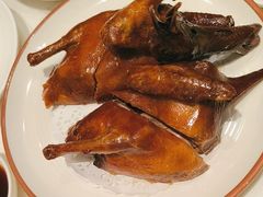 -新雅粤菜馆(南京东路店)