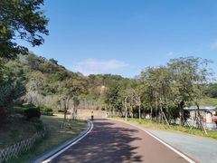 -飞凤山奥体公园