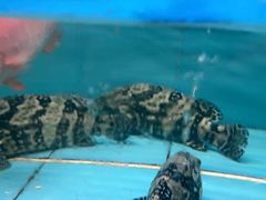 -天福海鲜酒楼·闽菜海鲜·宴请聚会(五四路店)