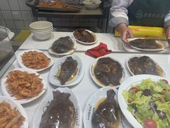-直隶安家罩饼(复兴路店)