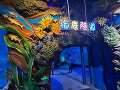 -太奥幻太奇海洋馆