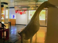 一楼展厅-上海琉璃艺术博物馆