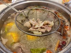 清远脆皮鸡煲-汤膳·脆皮爽鸡煲(景诚园综合楼店)