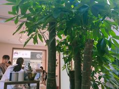 -Line 咖啡(石厦花园店)