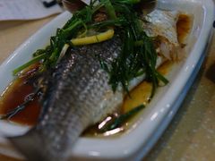 双柠清蒸乌头鱼-九龙湾茶餐厅(东门店)