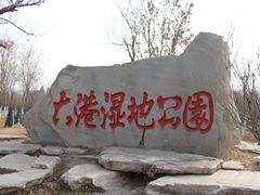 -大港湿地公园