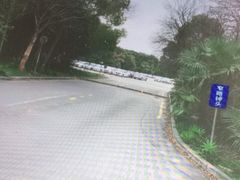 -胜华驾校·小猫学车(银都店)