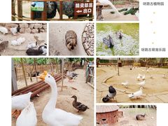 -呀路古热带植物园