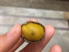 -阿男野栗王(金门路店)