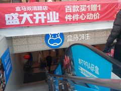 门面-盒马鲜生(双清路店)