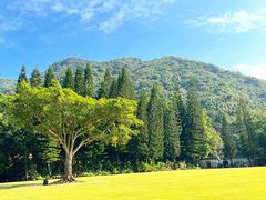 -深圳仙湖植物园