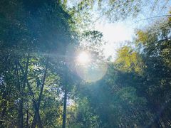 -西湖风景区十里琅珰-五云山