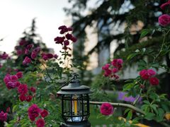 -花·fleur古董西餐厅(西城夜未央店)