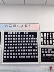 -AI艾耳·专业手工耳洞·穿孔美学馆