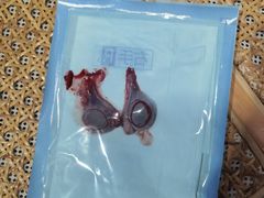 -伟伟宠物医院·CT影像中心·瑞派犬猫综合性门诊(汉口总院)