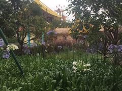 -七彩云南欢乐世界