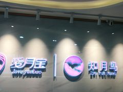 -爱月宝月嫂·育儿嫂(哈尔滨总店)