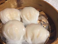 -楚灶王(徐东店)