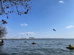 -滇池海埂公园