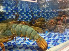 -欧记·龙城港(欣都龙城店)
