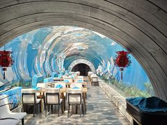 -涛·海底餐厅·美人鱼·自助餐·海底隧道(三亚海棠湾洲际度假酒店)