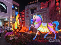 -越秀西湖花市(广州城市广场花卉店)