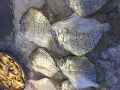 -新渔享海鲜餐厅(广海渔人码头店)