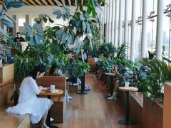 -Seesaw Coffee(朝阳大悦城店)