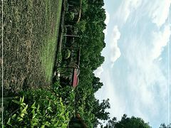 -洪湖家庭农场·团建·露营·会议