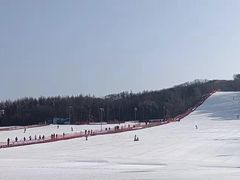 -东北亚滑雪场