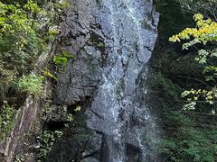-本溪汤沟绿石谷森林公园