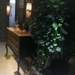 -Face Score美甲美睫皮肤管理