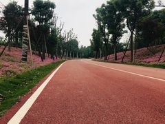 -白鹭湾湿地公园