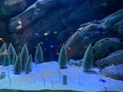 -海合安成都极地海洋公园