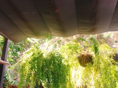 -Cheevit Cheeva(Sirimangkalajarn)