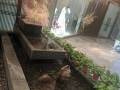-尊立方海鲜酒店·生日宴·家宴