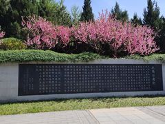 -北坞公园